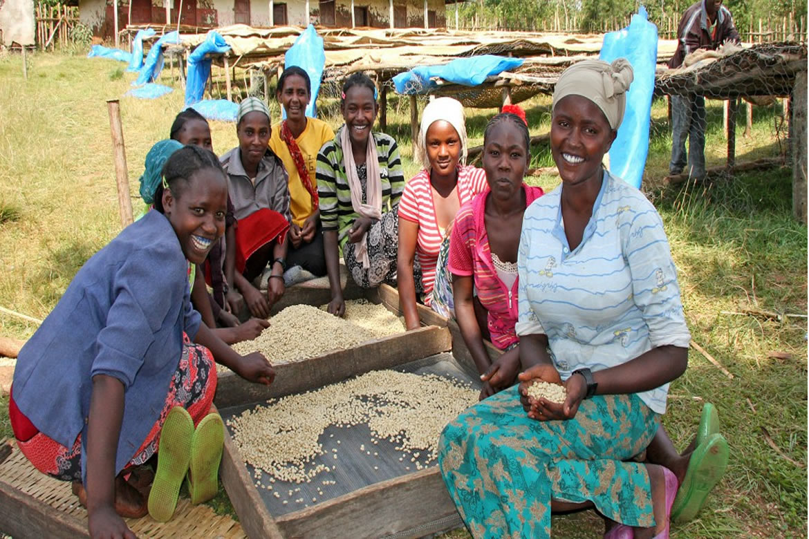 FREEHTML5.co Free HTML5 Template Bootstrap